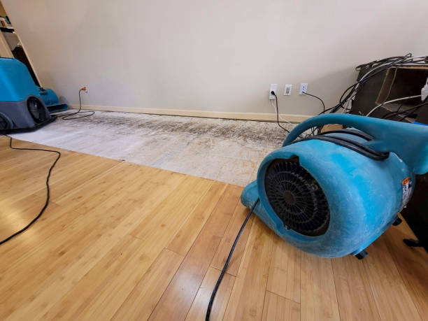 Professional Burst Pipe Water Damage technician working in Dryden, WA